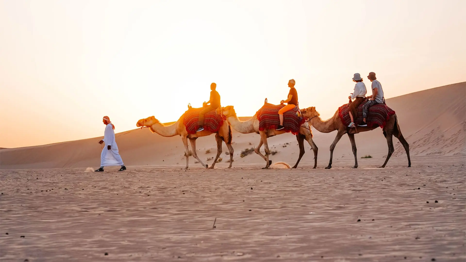 Camel Trekking in Abu Dhabi – Desert Camel Ride & Safari