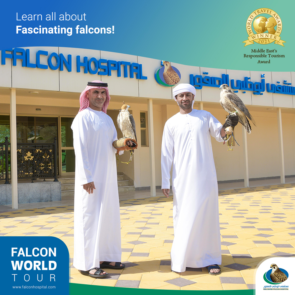 Abu Dhabi Falcon Hospital Tour: A Fascinating Journey into Falcon